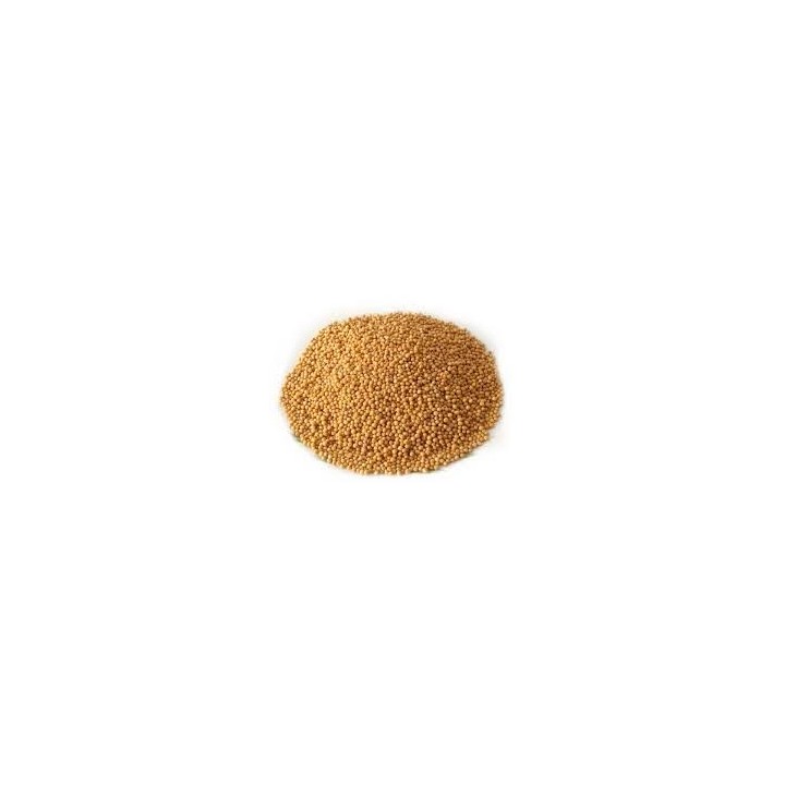 Gorczyca ziarno 50g