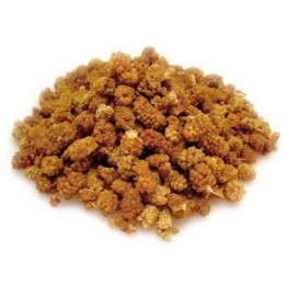 Morwa biała 100g