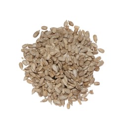 Słonecznik ekologiczny - bio produkt, łuskany słonecznik