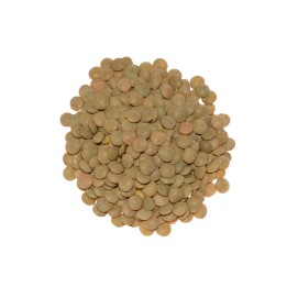 Soczewica zielona naturalna 500g
