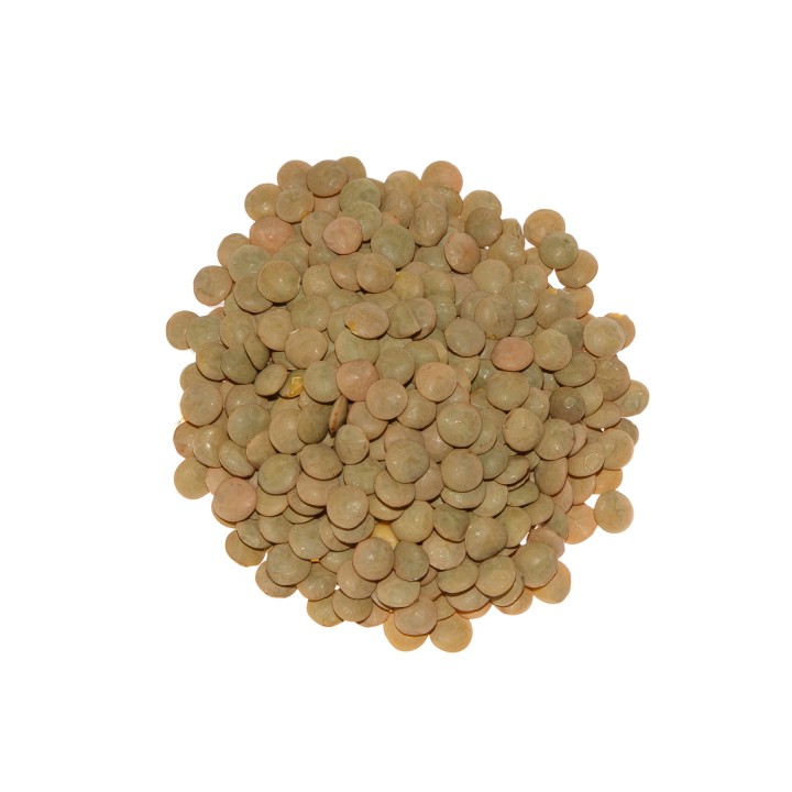 Soczewica zielona naturalna 500g
