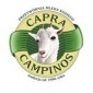 Capra Campinos 